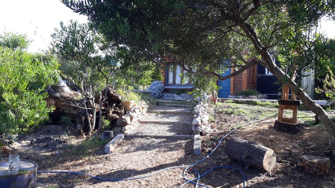 Verde Viento La Paloma Exterior photo